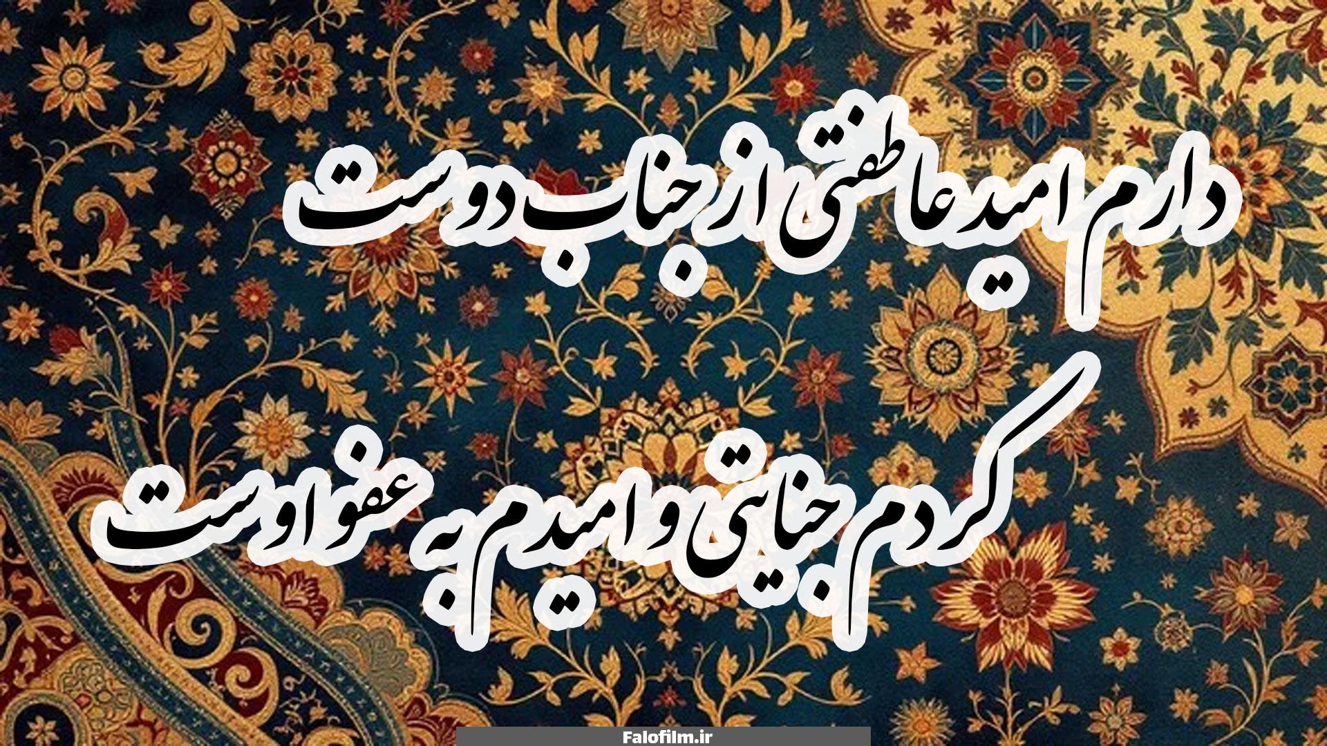 دارم امید عاطفتی از جناب دوست 