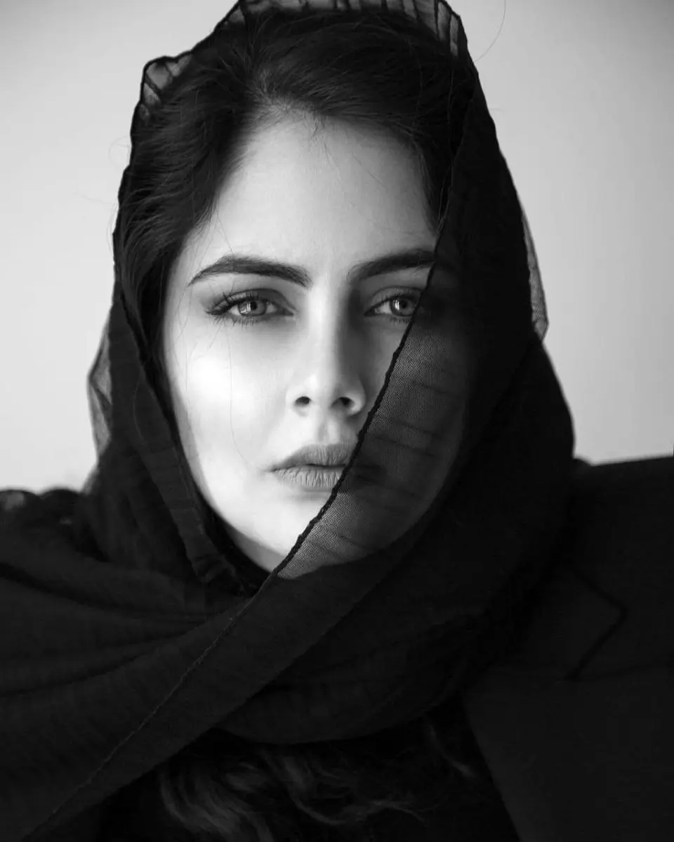 پرتره فرزانه فرنام