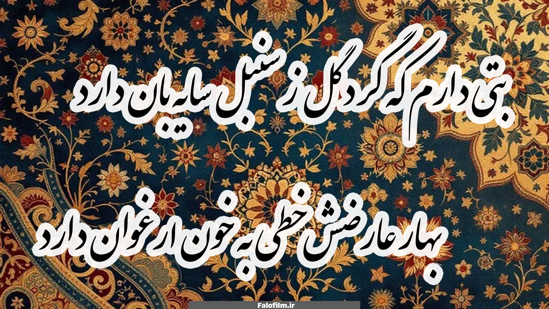 بتی دارم که گرد گل ز سنبل سایه بان دارد