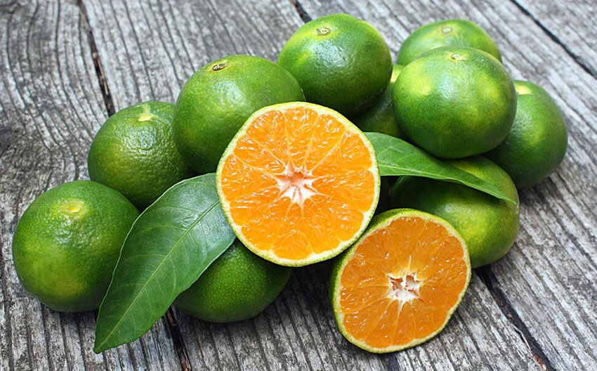 عکس پرتقال سبز