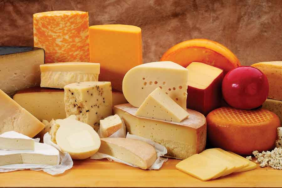 عکس تعداد زیادی پنیر از انواع مختلف