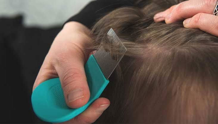 عکس شانه کردن مو برای کشتن شپش ها