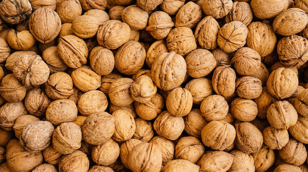 تعبیر خواب گردوی زیاد