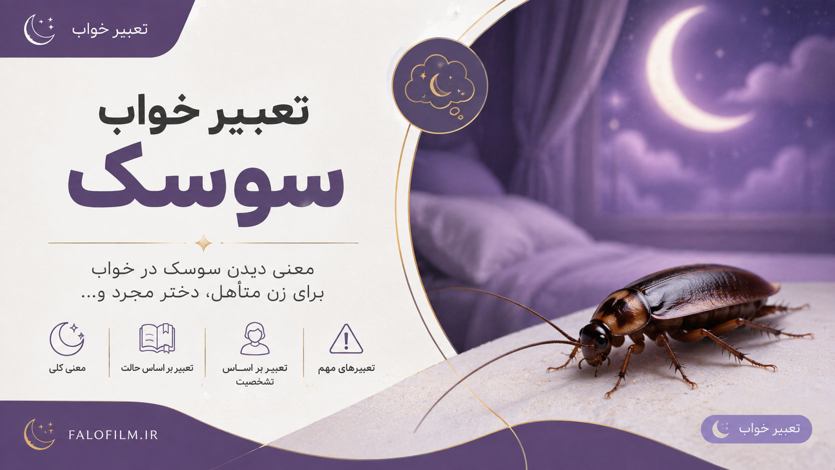 در حال حاضر در حال تماشای این مورد هستید تعبیر خواب سوسک: کامل‌ترین راهنما (امام صادق، یوسف و آنلی بیتون)