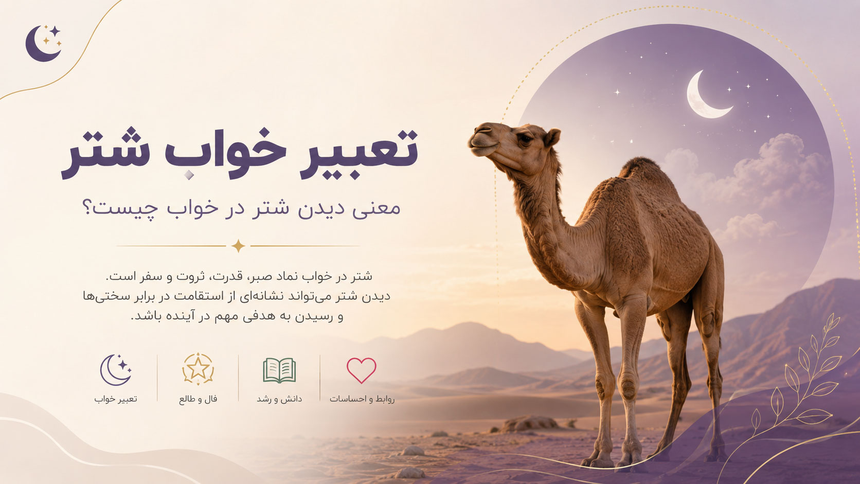 در حال حاضر در حال تماشای این مورد هستید تعبیر خواب شتر | نظر ابن‌سیرین و امام صادق
