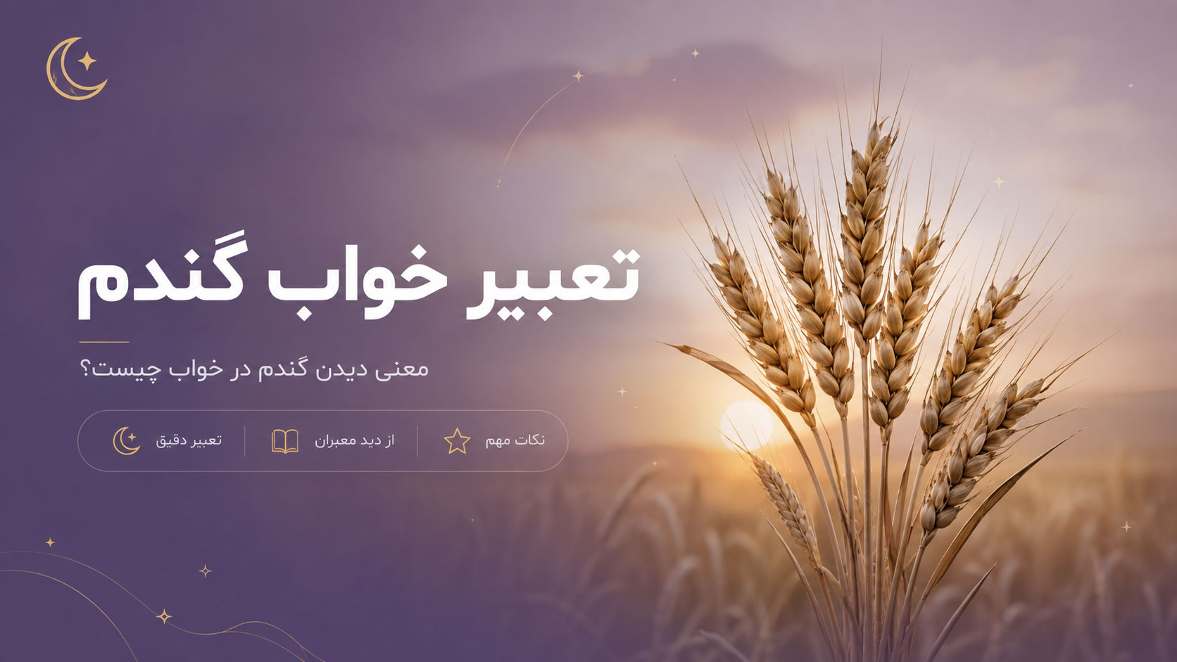 در حال حاضر در حال تماشای این مورد هستید تعبیر خواب گندم برای دختر مجرد، زن متاهل از نظر معبرین معروف